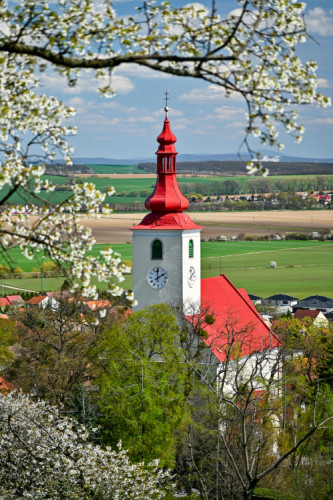 rozkvitnuté Smolenice