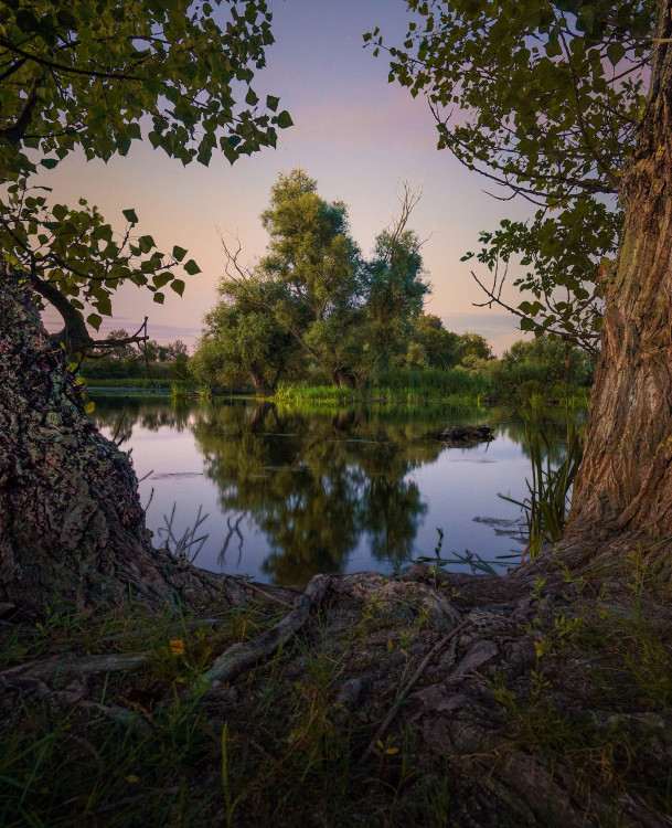 brána