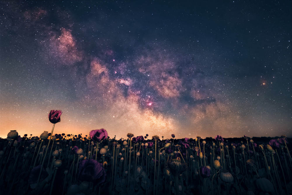 Galaxie nad makovým poľom