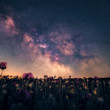 Galaxie nad makovým poľom