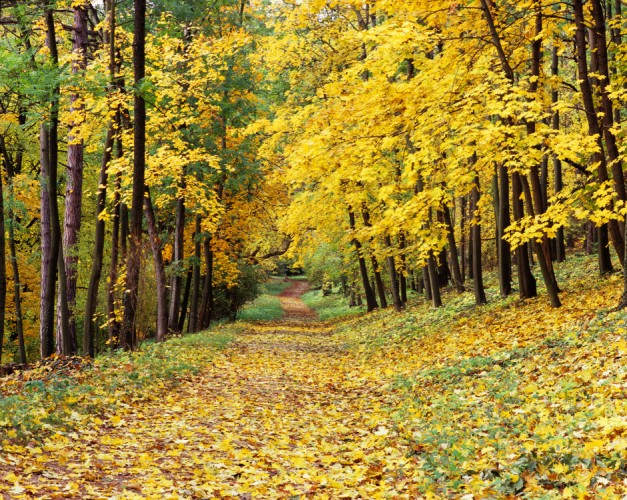 Park zámku vo Valticiach