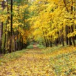 Park zámku vo Valticiach