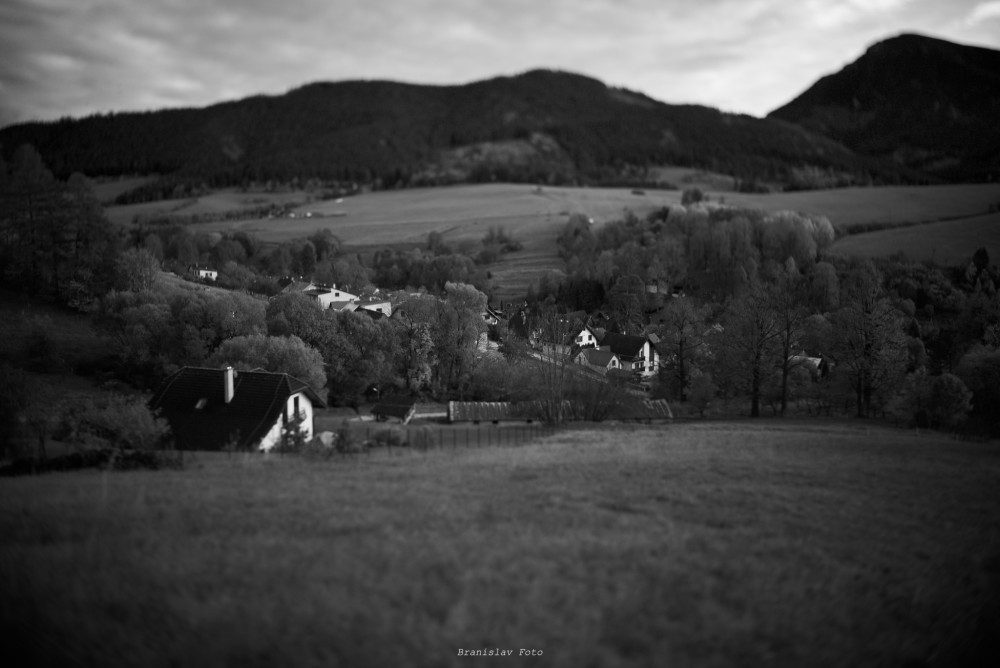 orava