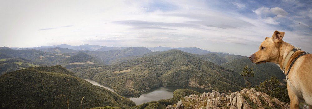 Panoráma babo