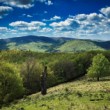 Vysoká (754mnm) - prírodná rezervácia