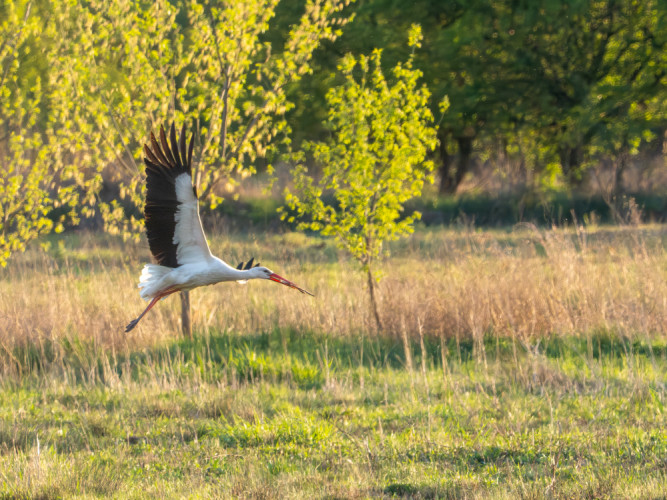 stavba v plnom prúde