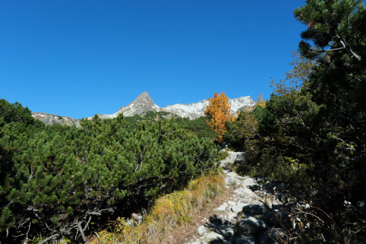 Tatry