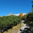 Tatry