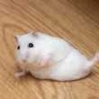 Breakdance