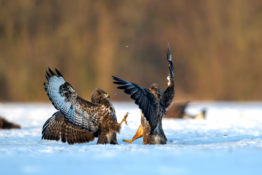 "Do posledného pierka"