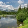 Nové pleso