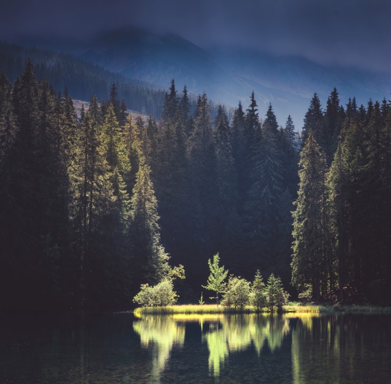 Vrbick= pleso