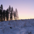 podvečer