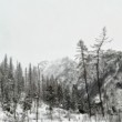 Feels like Alaska