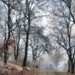 Čarovný november
