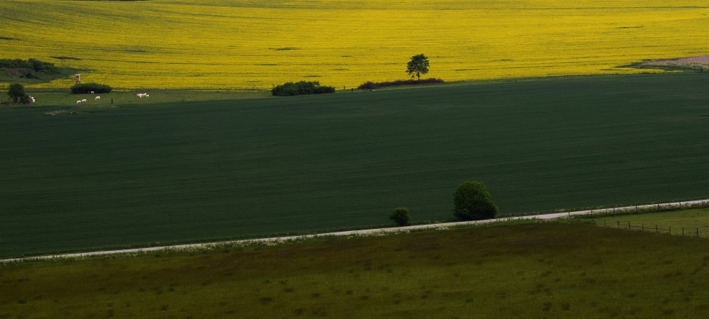 krajina pokoja