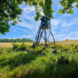 Karpatské polia