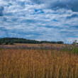 Búrka a pole