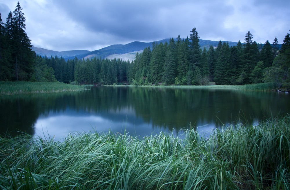 Vrbické pleso