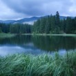 Vrbické pleso