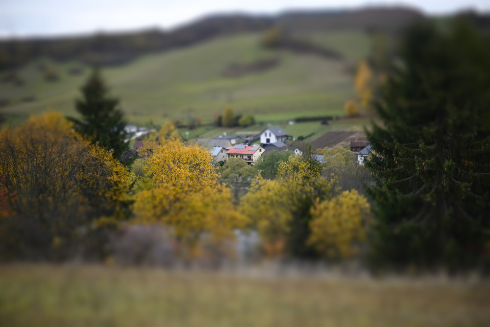 dolina