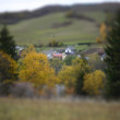 dolina