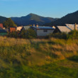 Stankovany