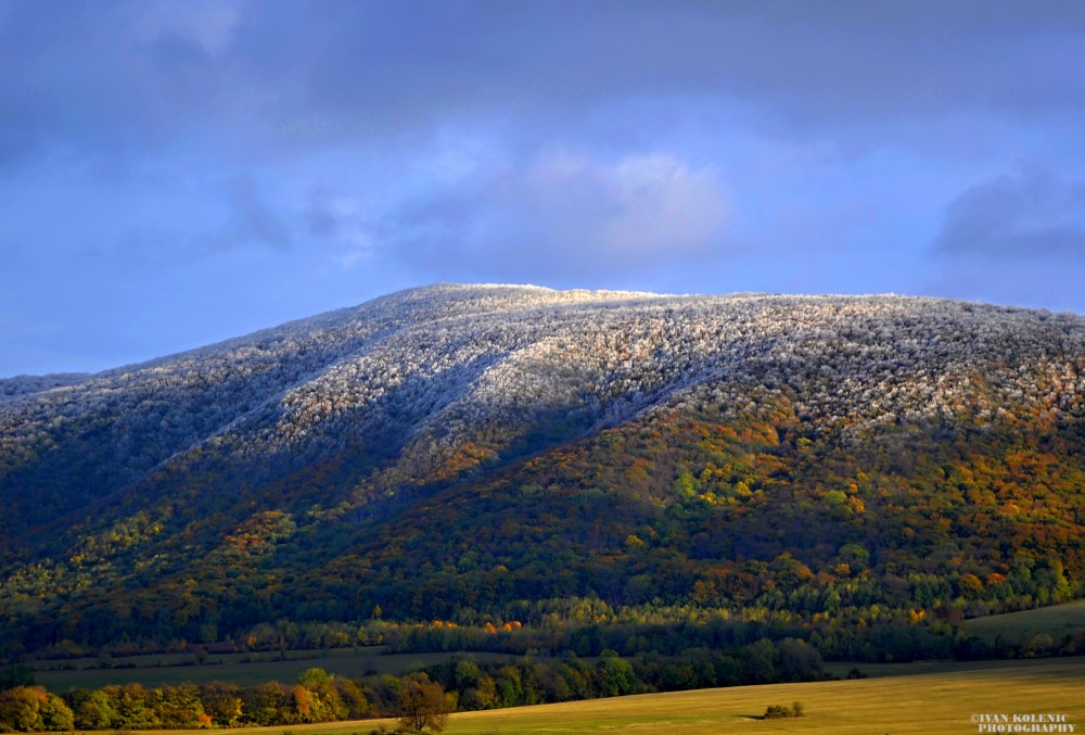 Roštún, Malé Karpaty