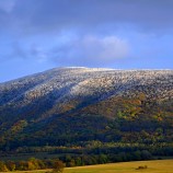 Roštún, Malé Karpaty