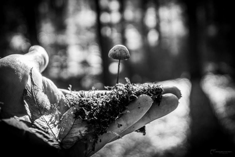 Budúcnosť prírody máme každý vo svojich rukách.