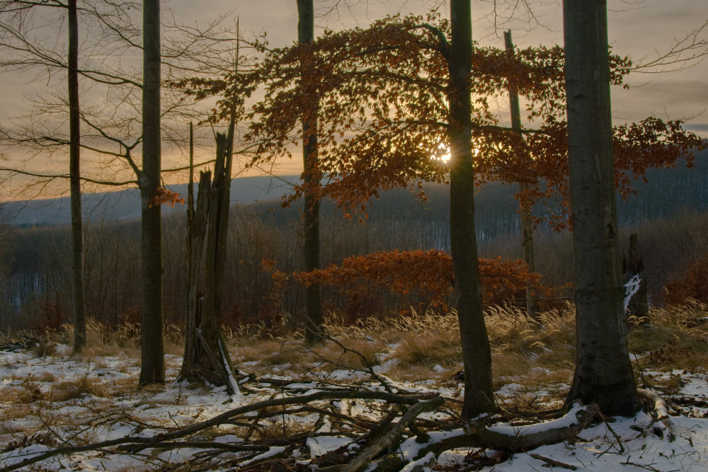 Posledné večerné lúče
