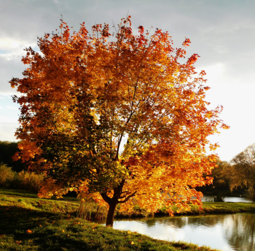 jeseň pri rybníku