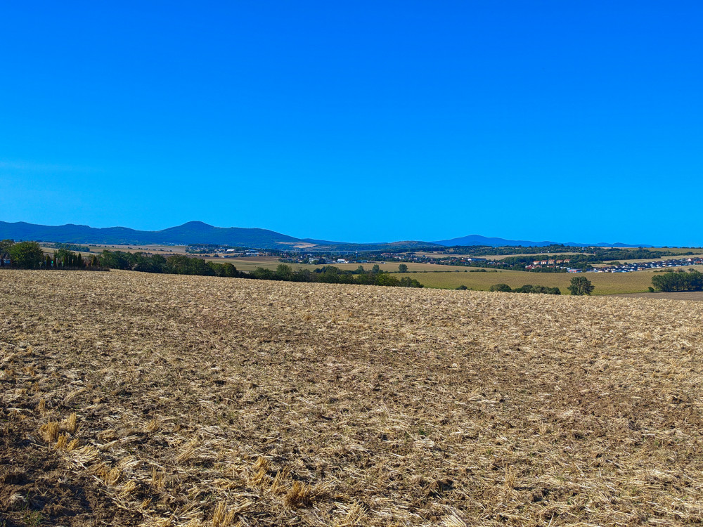 Tribec