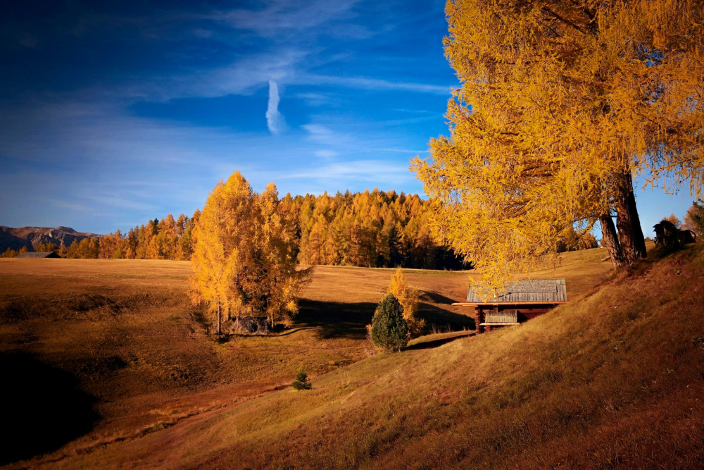 Alpe di Siusi