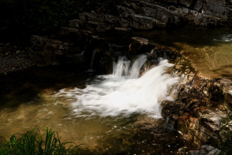 V Monkovej doline