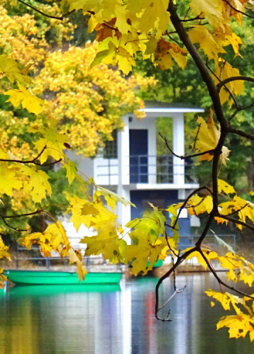 Bratislavské mestské lesy