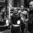 Boxer