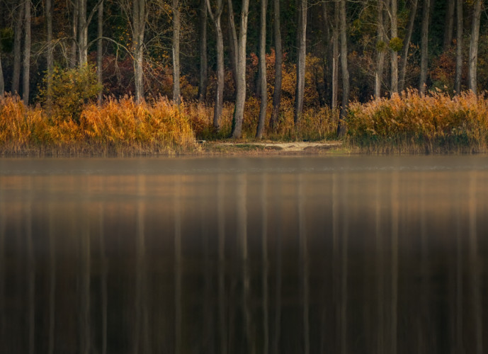 zátišie na Mŕtvom ramene