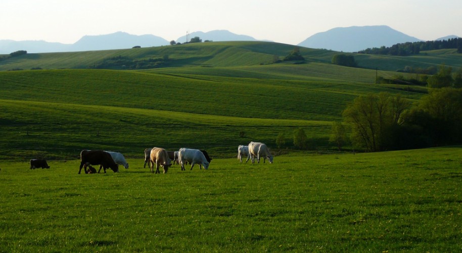 liptovské pasienky