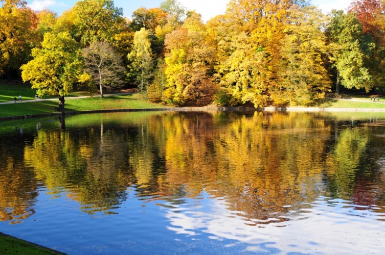 Reflet d'automne