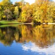 Reflet d'automne