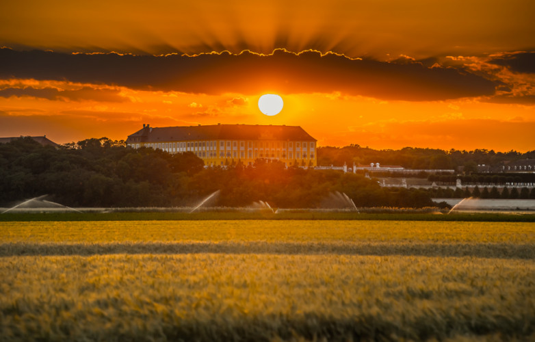 Schloss Hof