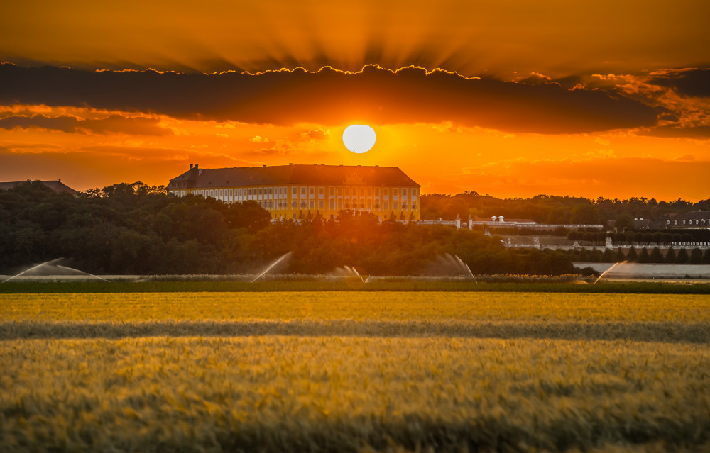 Schloss Hof