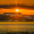 Schloss Hof