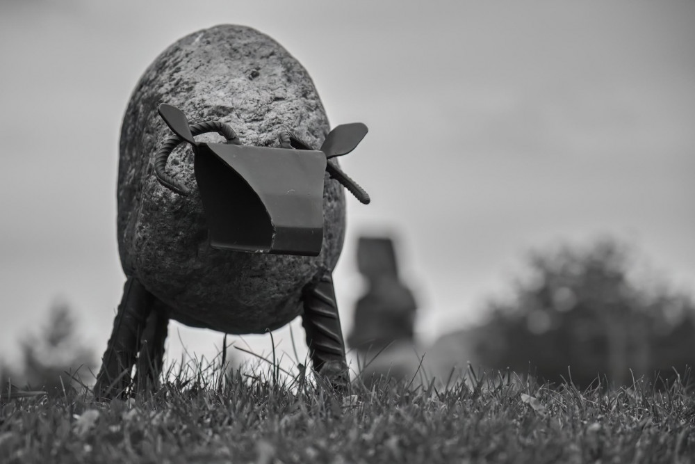 Ovečka pre toto storočie