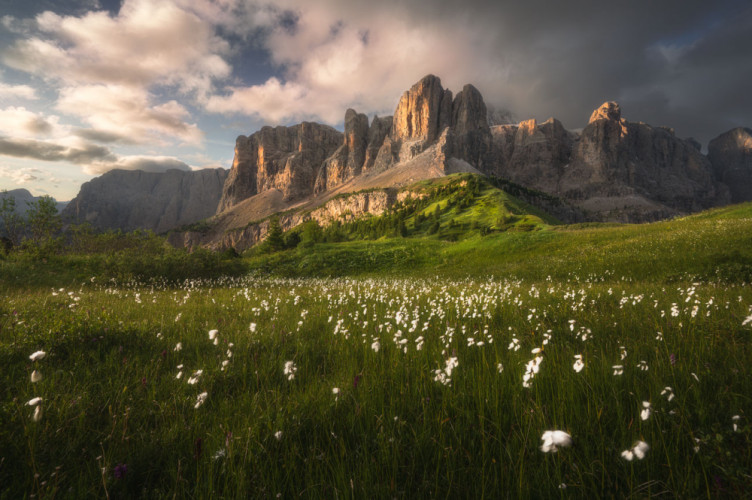 Rozkvitnuté Dolomity