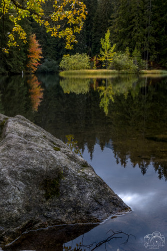 Vrbické pleso