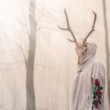 CERNUNNOS III