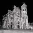 Campanile di Giotto, Cattedrale di Santa Maria del Fiore
