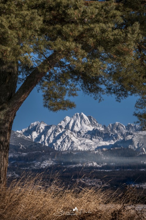 Koruna Vysokej . Vysoké Tatry